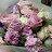 @Lily-f1m2b