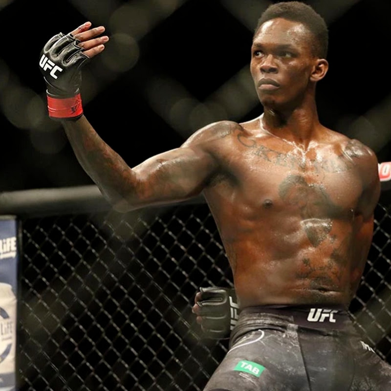MMA Sapiens icon