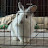 @JustJasper3451 Avatar