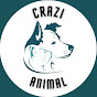 Crazi Animal logo