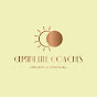 Gemini Life Coaches logo