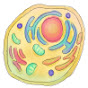 Cell Bio Clips logo