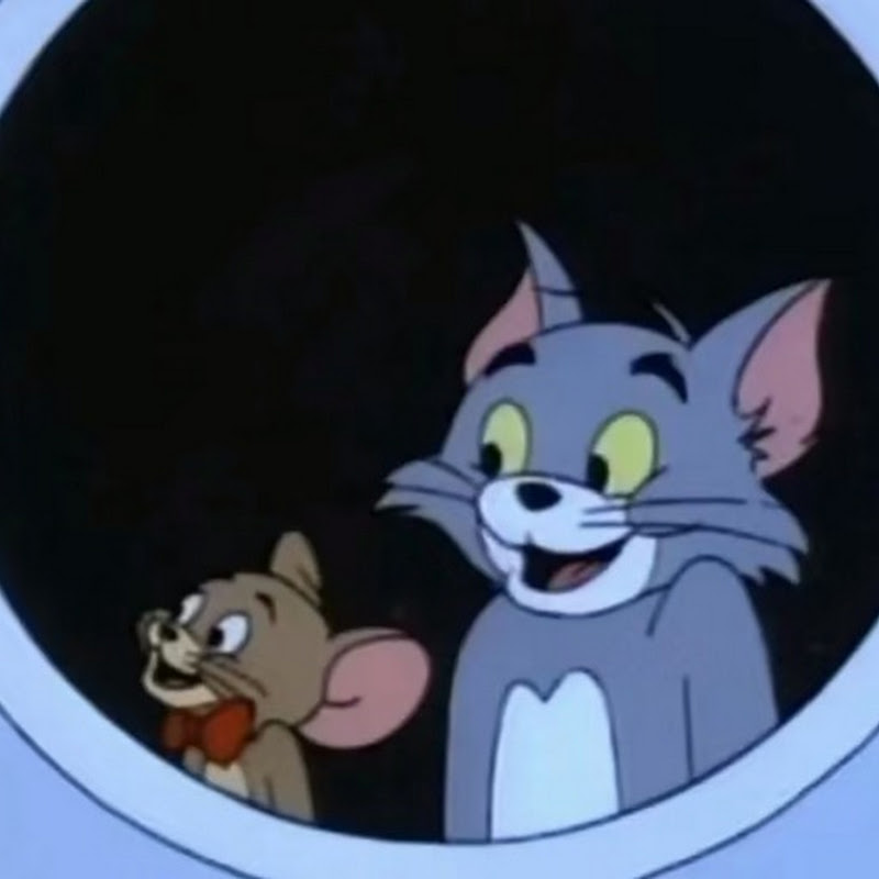 七侠镇本季最佳黑店 Logo