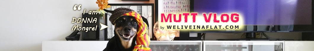 Mutt Vlog YouTube channel avatar