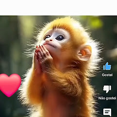 AnimalQuizz