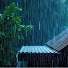 ZS4YcsbJYy0-channel-avatar-Danny Rain Natural