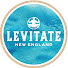 C29CHrh3J14-channel-avatar-Levitate