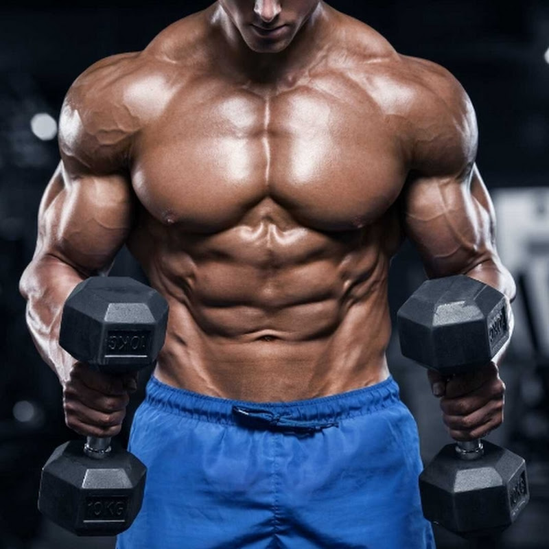MB Muscle Builder