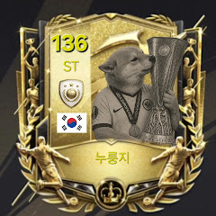레고하는 강아지 