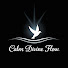 wsfm9HP_1AA-channel-avatar-Calm Divine Flow