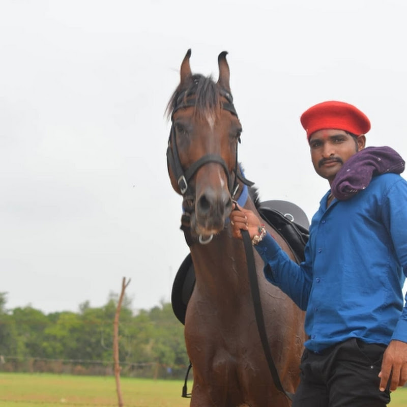 Hire mahakali_ashw_farm_pindarda — Home & Garden YouTube creator for sponsorships