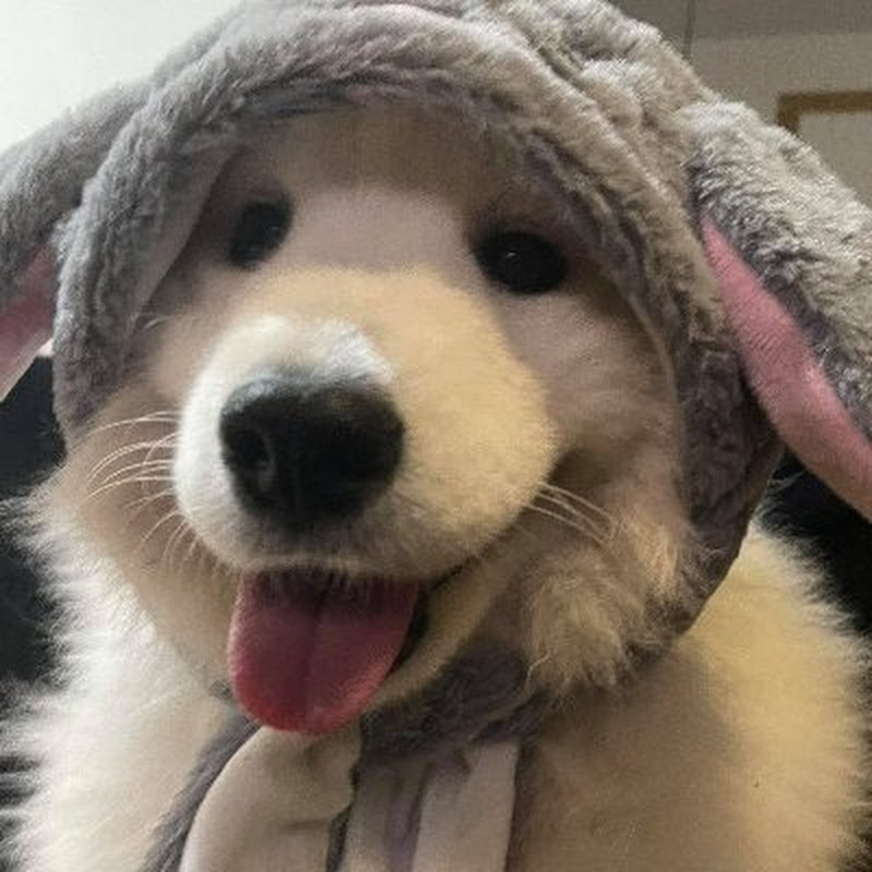 Channel Avatar