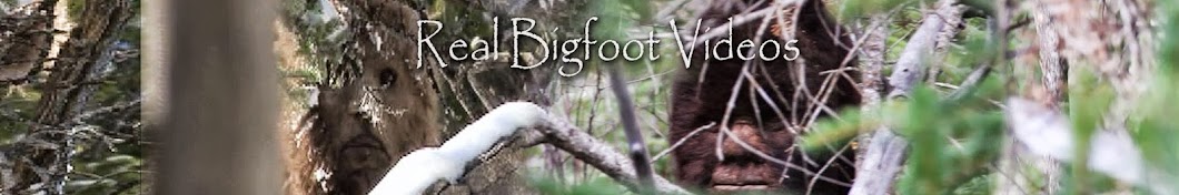 Sylvanic Bigfoot ইউটিউব চ্যানেল অ্যাভাটার
