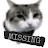 @Missing_Cat.mp4