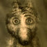 fiISrhdMal0-channel-avatar-Don Sergii