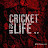@Cricket_fans847
