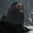 @Bears_and_Wolves