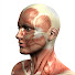 IDM-LgXbARU-channel-avatar-The Artful Medic