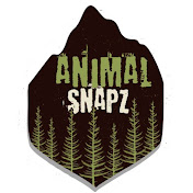 Animal Snapz
