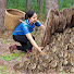 _su0BUjxQSw-channel-avatar-Linh Harvesting and 2 more
