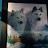 @1killerwolfpack941 Avatar