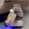 Автор