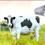 INDIA BEST DAIRY FARM logo