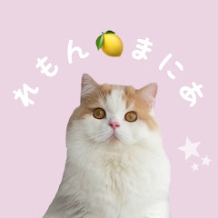 猫のレモンまにあ!【サブチャンネル】
