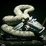 qVHlEDTVVTE-channel-avatar-ReKt-_-FuNkY
