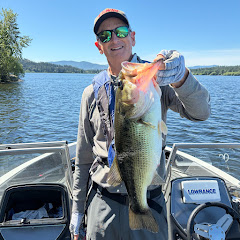 Toad Hunter Fishing