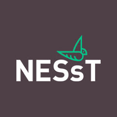 NESsT