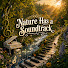 gSiH4fAXkl4-channel-avatar-When Nature Becomes Music