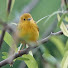 FbDBtnuVz30-channel-avatar-Birdy Birdman Films