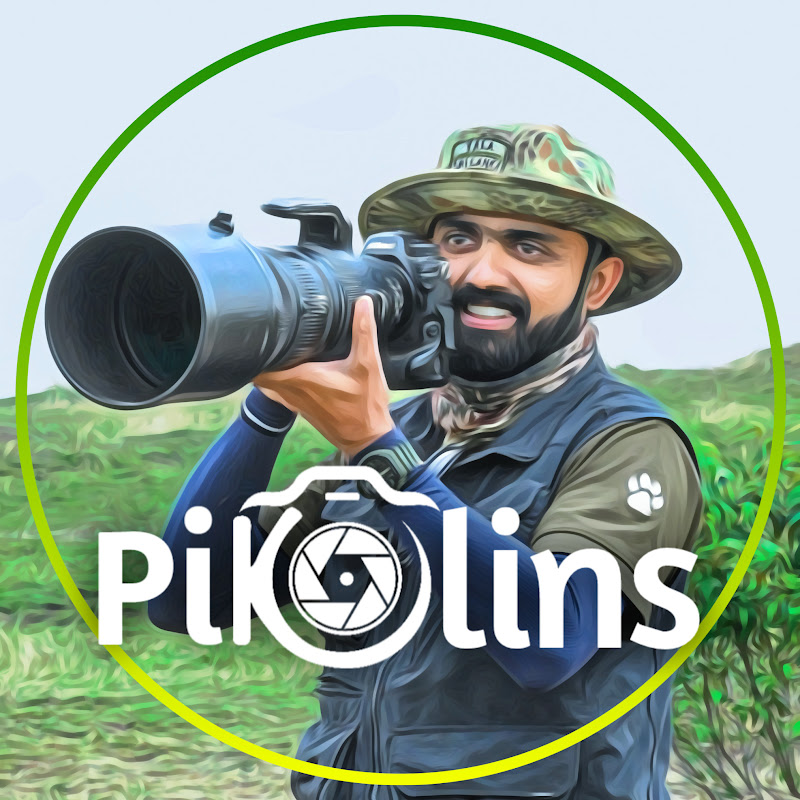 Pikolins Vibe