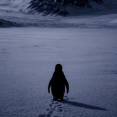 Shorts reaction🎦🤓