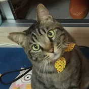 mikihana