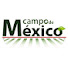 z6UFq7-ntLk-channel-avatar-Campo de México