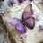 @رحمهتوفيق-غ3د