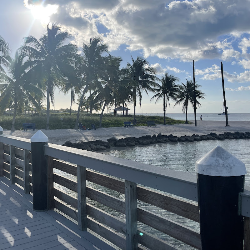 TM  …🐠…🐟 