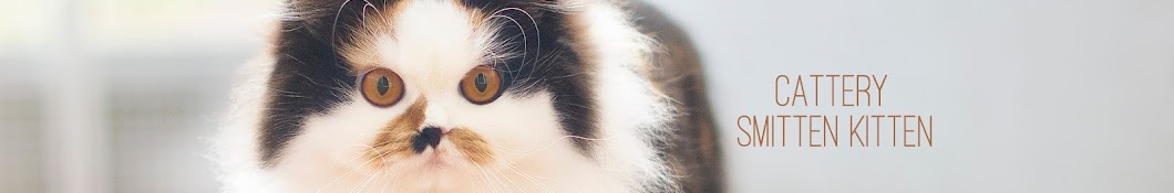 Cattery Smitten Kitten رمز قناة اليوتيوب