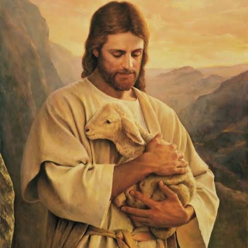 jesus o cordeiro