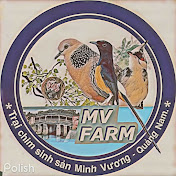 Minh Võ Farm