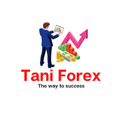 Tani Forex net worth