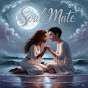 Soul Mate Vibz logo