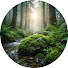 RxacXHWuV9A-channel-avatar-Pure Earth ASMR