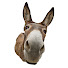 fxWNBOamJxA-channel-avatar-Matemática para Burros