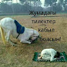 Автор