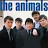 The Animals Tribute Channel (unofficial)