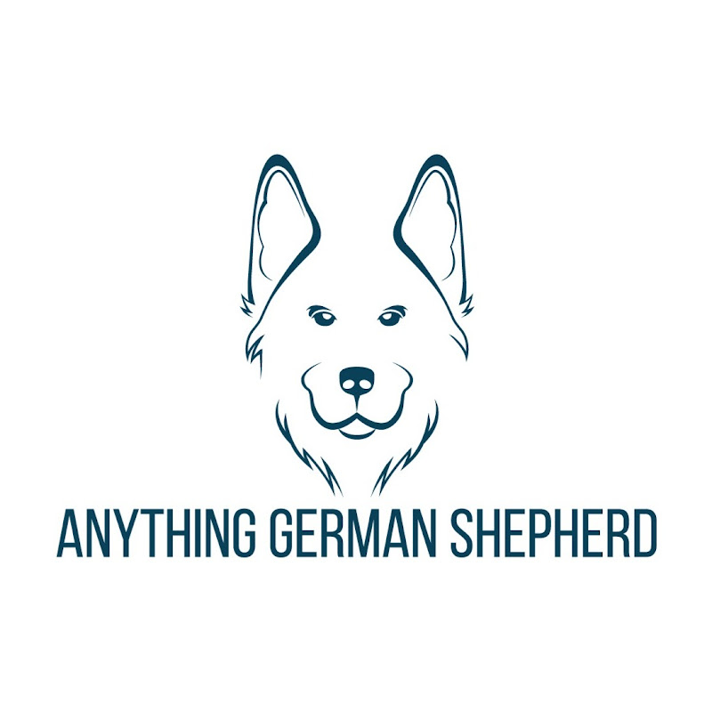 Anything German Shepherd
