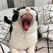 Midnight Revenge